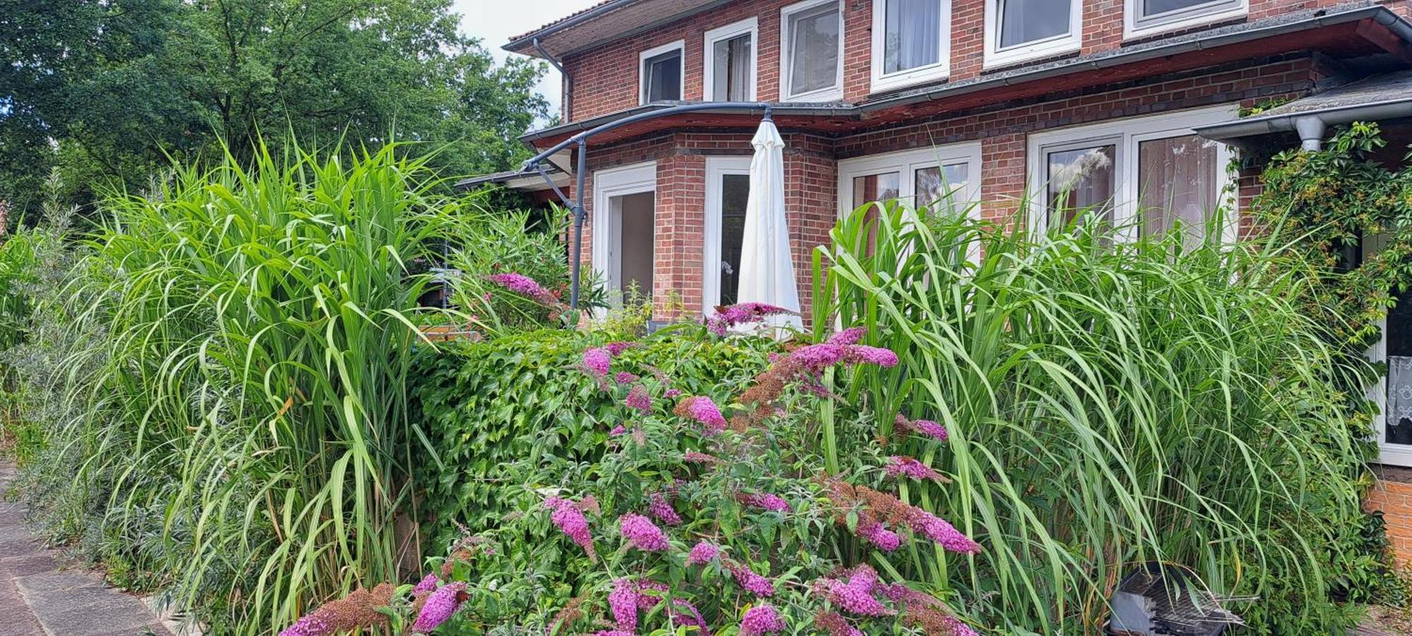 Schillers Landhaus Neu Darchau エクステリア 写真